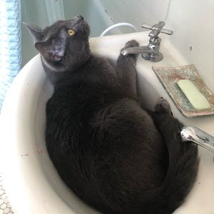 Meet your Posher, Lucas